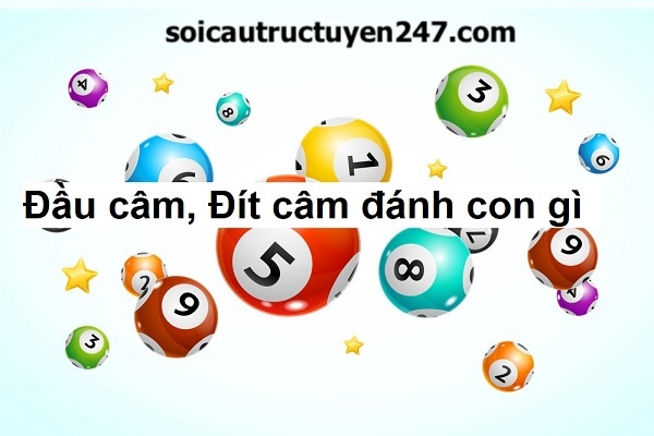 đầu đít câm đánh con lô gì