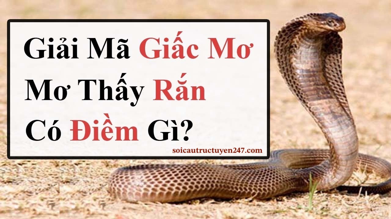 mơ thấy con rắn đánh số gì