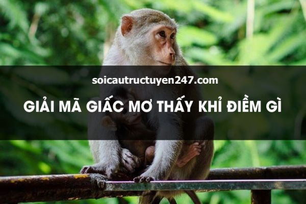 Mơ thấy con khỉ đánh con gì dễ trúng